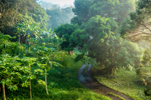 2BC2B3CA-3AFF-4FA5-9C73-50AEC4FD3652